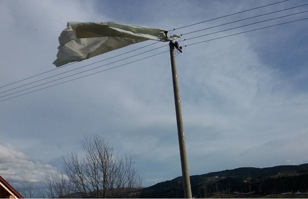 ПОСЛЕДИЦЕ ОЛУЈЕ У СРБИЈИ: Ветар носио кровове, чупао стабла, две хиљаде потрошача без струје (ФОТО)