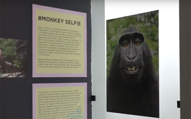 Отворен Музеј селфија, трагање за коренима феномена (ВИДЕО)