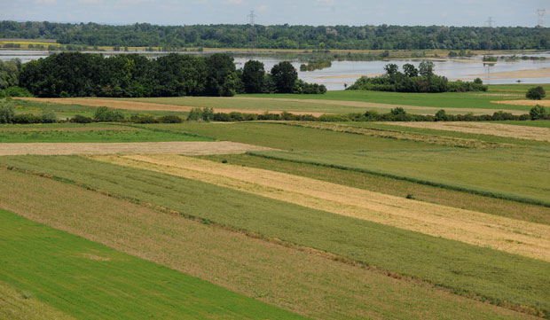 Пољопривредници у Србији на име таксе за одводњавање дугују око четири милијарде динара
