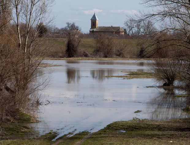 Приправност на Тамишу