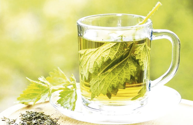 Природно решење за потенцију