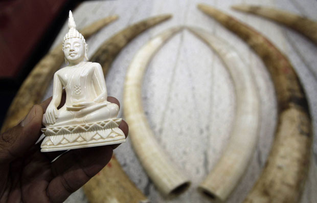 Британија ће забранити продају слоноваче