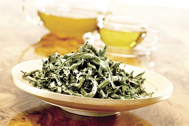 Врбена: Љутовница, али смирује