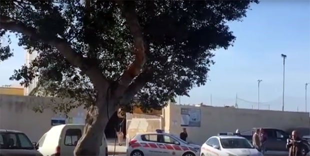 Грана убила двоје туриста у отвореном аутобусу (ВИДЕО)