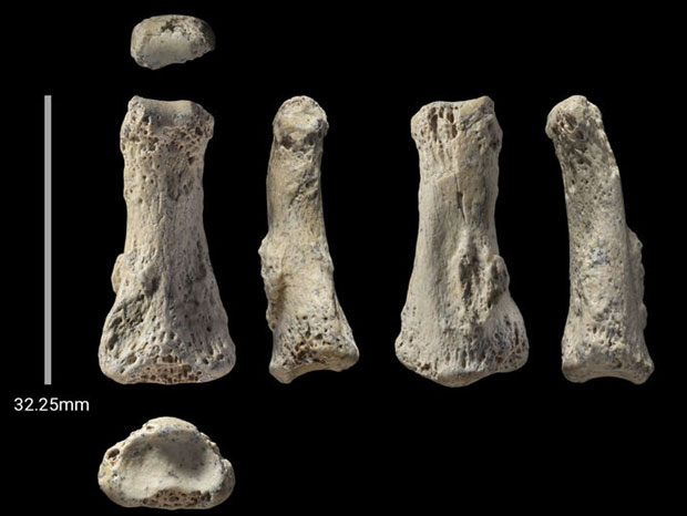 Фосил прста открива како су људи стигли из Африке