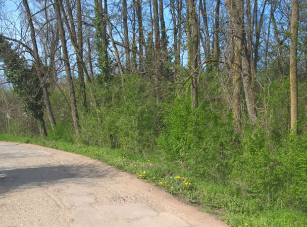 Велика Плана: Комшији смрскао главу