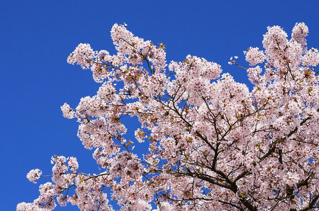 ВРЕМЕНСКА ПРОГНОЗА: У четвртак сунчано и топло, увече понегде киша