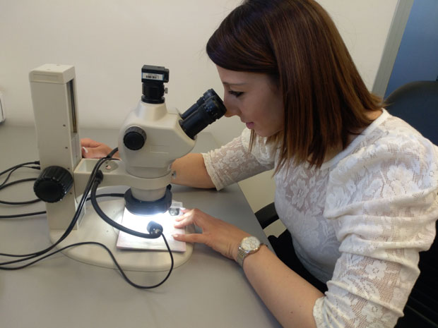 Ере форензичари хапсе криминалце