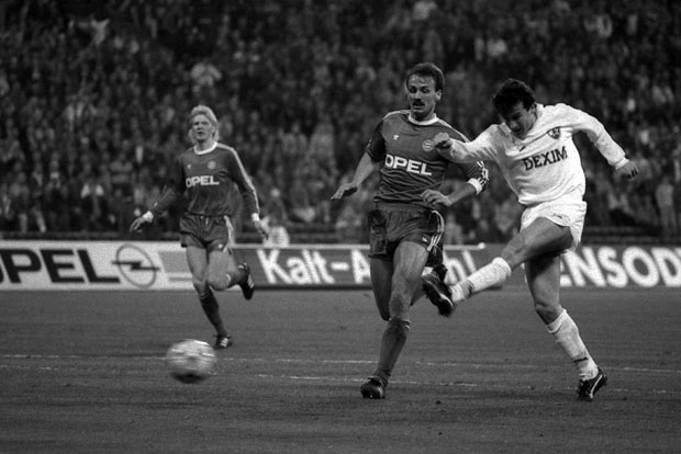 Савићевић: Звезда морала да има шесту звезду