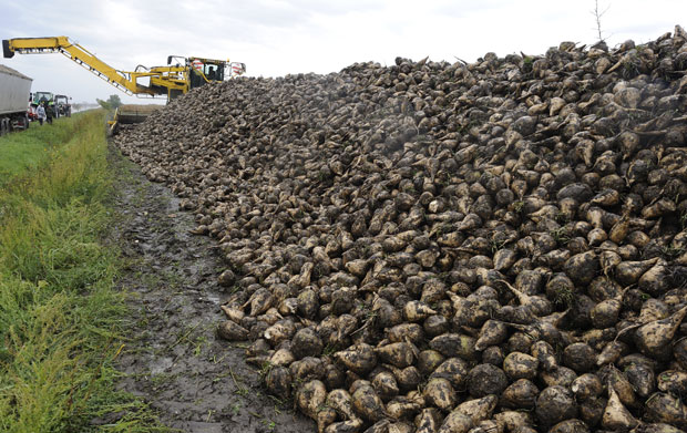 Имаћемо 30 одсто шећера мање