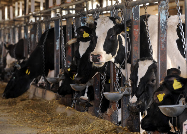 Држава дала 403.000 €