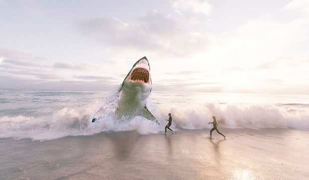 Аустралија: Сурфера напала ајкула (ВИДЕО)