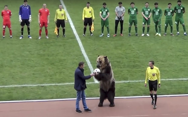 ВИДЕО: Медвед предао лопту судији пред почетак утакмице у Русији, ПЕТА осудила тај потез