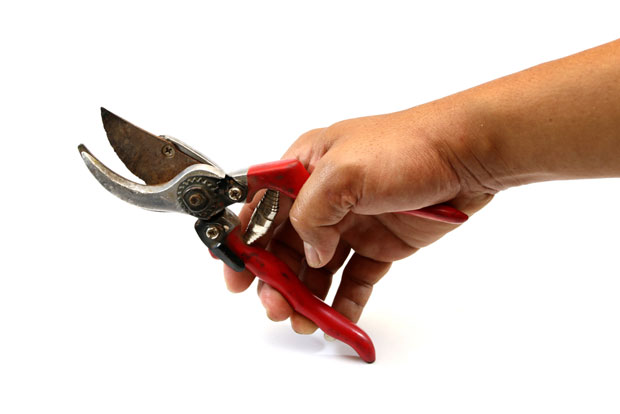 УЖАС У ПИРОТУ: Дужнику одсекао прст због 300 евра