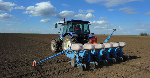 Кукуруза мање на 100.000 хектара