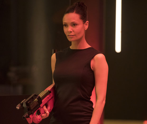 Роботи дижу устанак