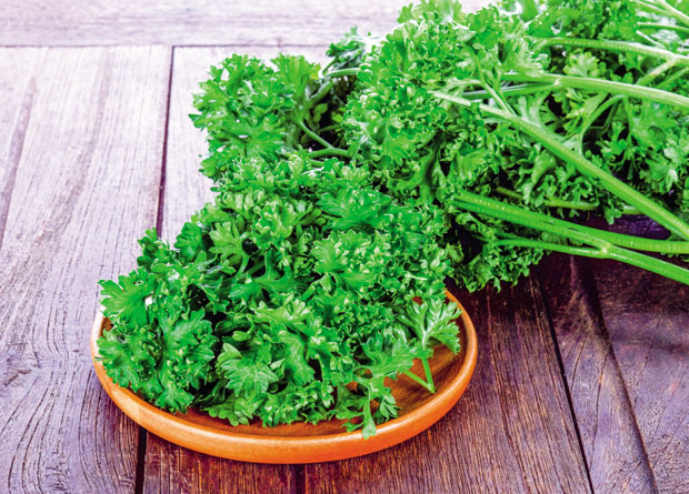 Першун испира бактерије из организма