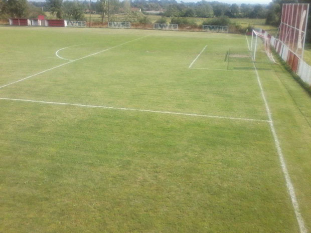 Нацртан мушки полни орган преко целог терена за фудбал (ФОТО)