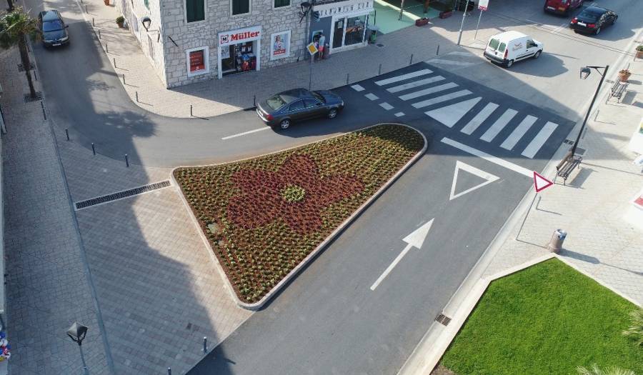 ПАРАНОЈА У ХРВАТСКОЈ: Бранитељ камионом згазио бегоније јер су личиле на петокраку