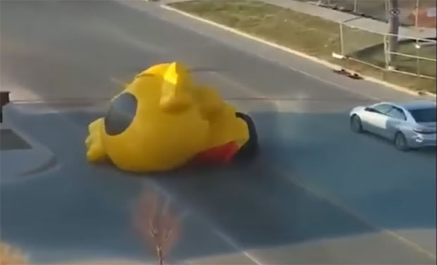 Одвезала се патка Кваки, закрчила пут (ВИДЕО)