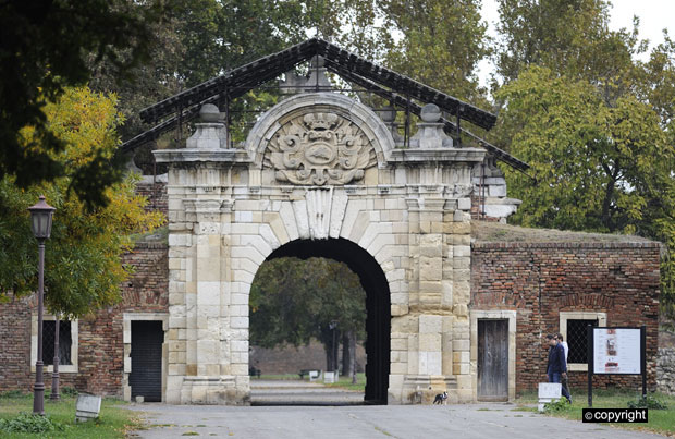 Хабзбуршки цар постао српски краљ