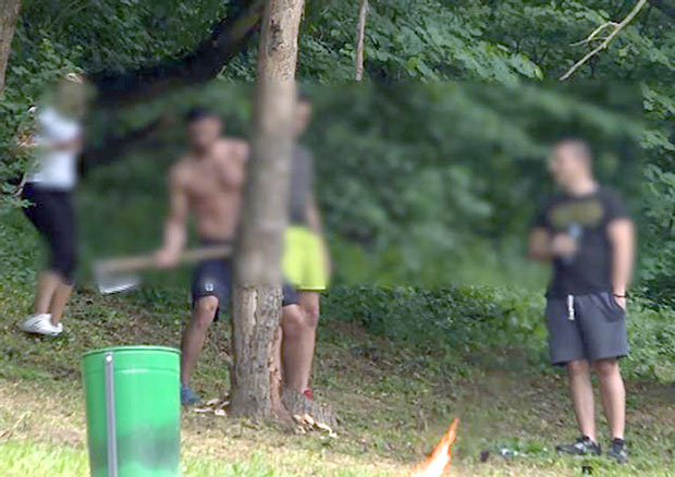 Кривичне пријаве за тројицу дрвосеча