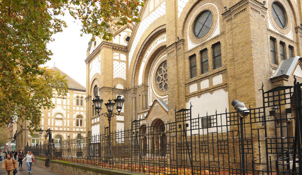 Концерт у Синагоги помаже Драгани