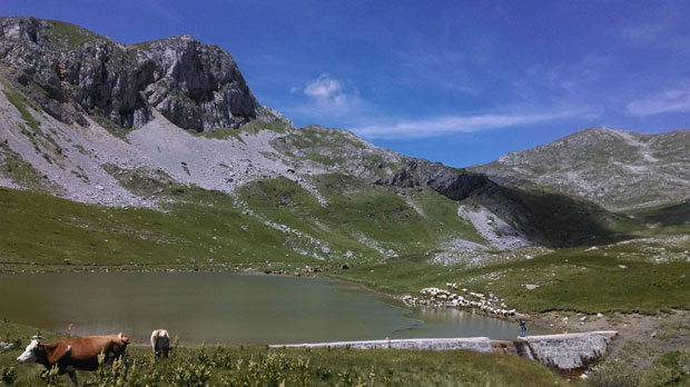 Сињајевина - војни полигон