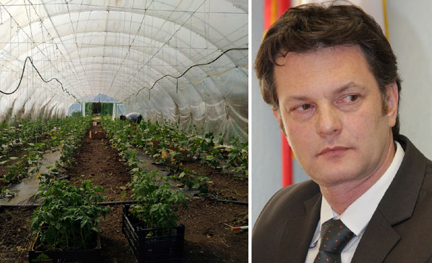 У пластенику стичу знање