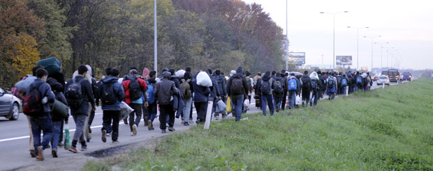 Кроз општину Шид прошло око 700.000 миграната