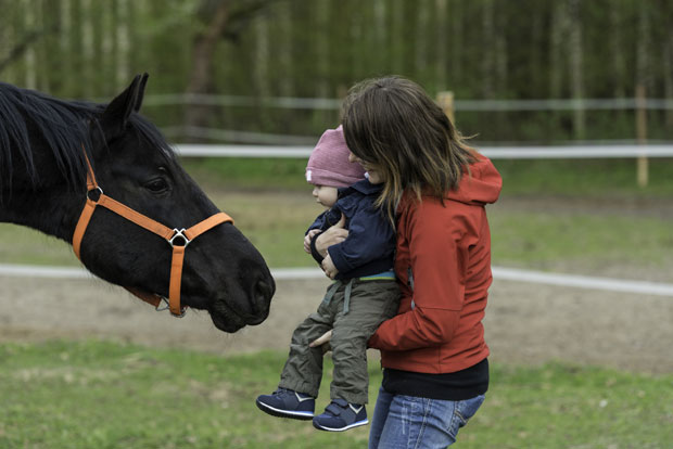 Помоћ деци: Милион и по за хипотерапију