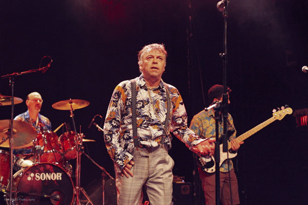 Нелетов повратак рокенролу