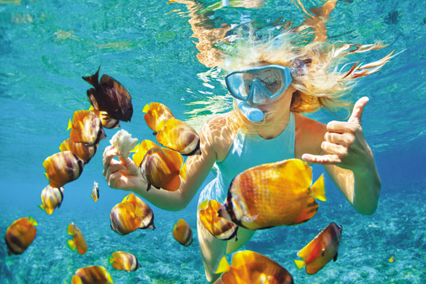 Очи у очи са рибицама