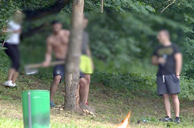 Тројица осумњичена за незакониту сечу дрвета у Кошутњаку