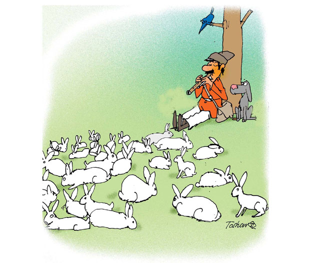 За гајење кунића сточна субвенција