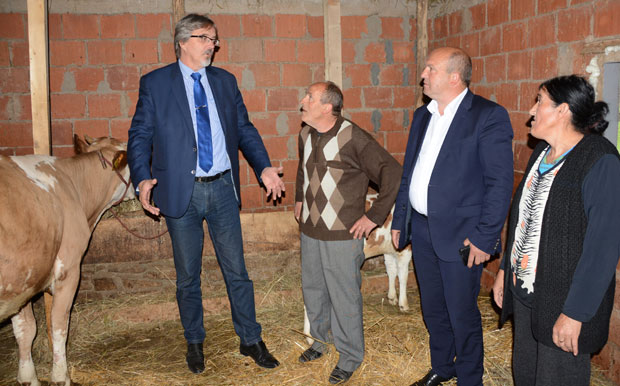 Марковићима опет пуна штала
