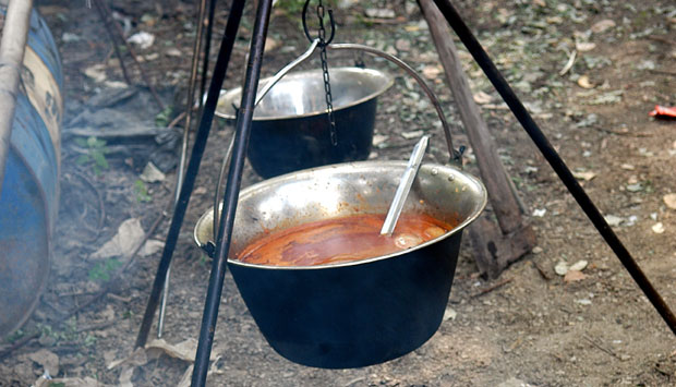 Дани отворене кухиње Савамале