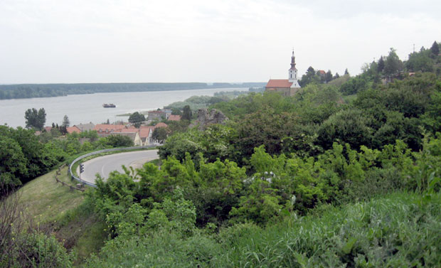 Палеозоик као тема