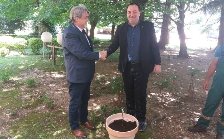 У Бару засађена најстарија лоза на свету