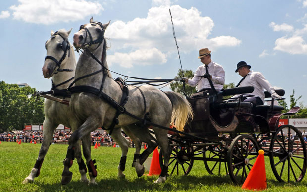 Међу фијакеристима и две даме