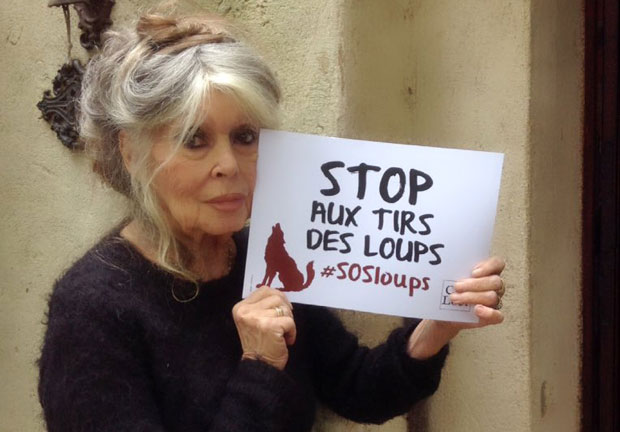 Брижит Бардо позвала француске власти да поставе камере у кланицама због мучења животиња