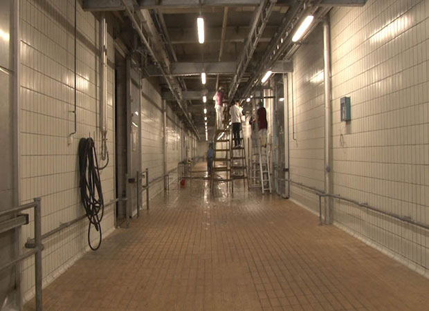 За Турке спремају чак 4.500 тона говедине