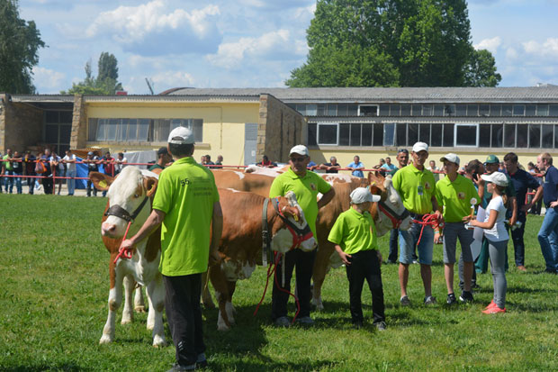 Пехари и медаље на свилајначким грлима