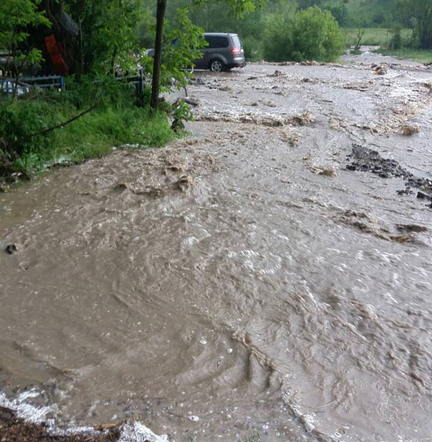 ПОСЛЕДИЦЕ НЕВРЕМЕНА У СРБИЈИ: Бујица носила и стоку