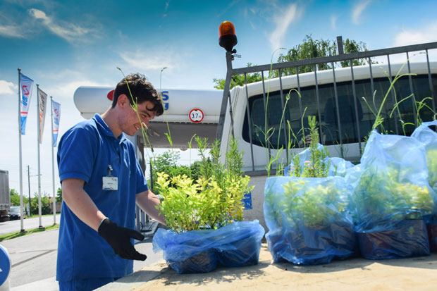 Предају папир, а добијају цвеће