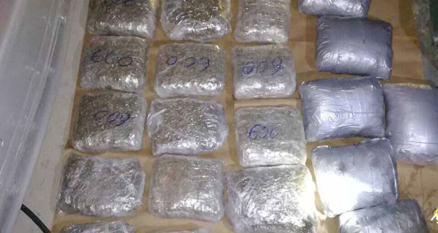 Лесковац: Заплењено 13,5 килограма марихуане