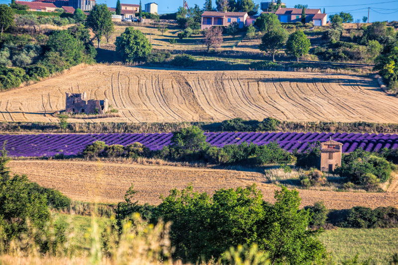 Размена Француске са Србијом стиже милијарду евра 