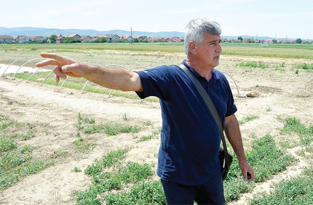 Србија остаје без футошког купуса