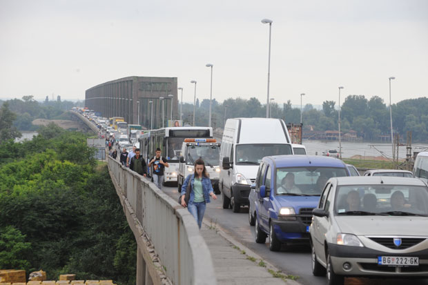 ГУЖВЕ У ШПИЦЕВИМА: Панчевац црна тачка