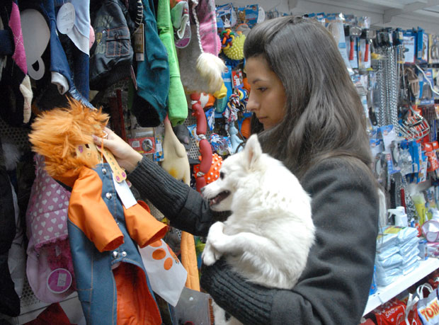 Дог фест у суботу